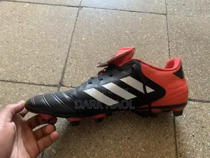 Brand New Shoes