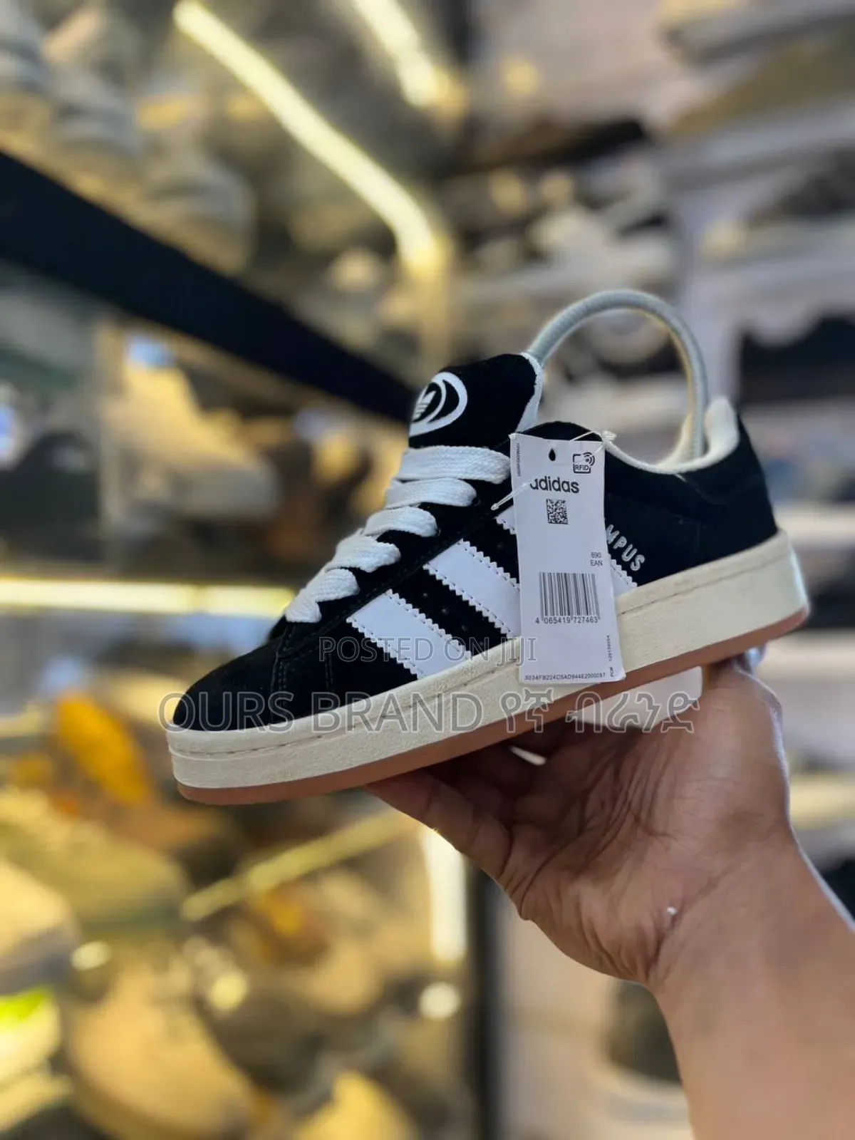 Campus Adidas Best Quality