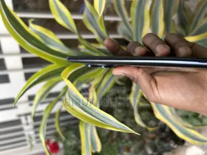 Xiaomi Redmi Note 14 Pro 256 GB Black