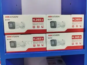 Hikvision 2mp H265 Mini Camera