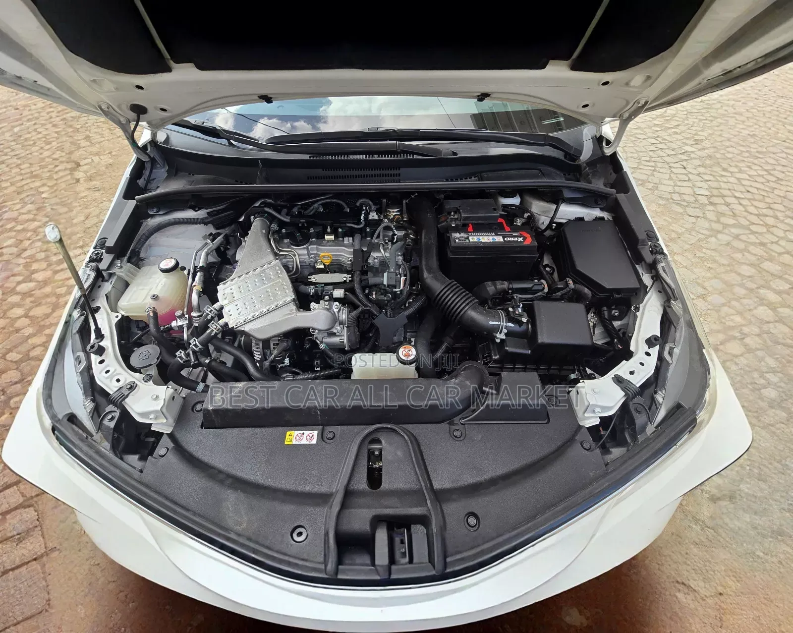 Toyota Corolla 2022 White