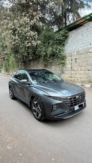 Hyundai Tucson 2021 Brown