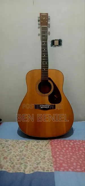 Acoustic Guitar