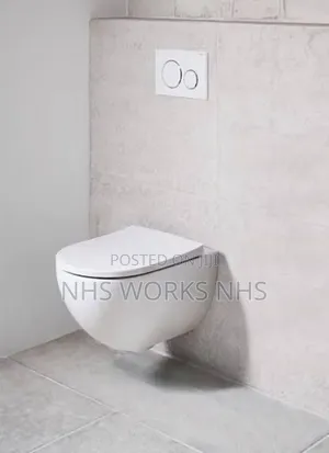 Wall-Hang(Mounted) Toilet Seat(Concealed Toilet)