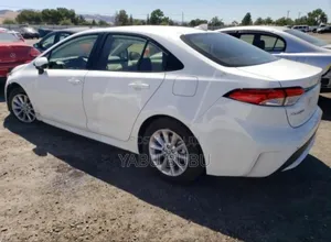 Toyota Corolla 2022 White