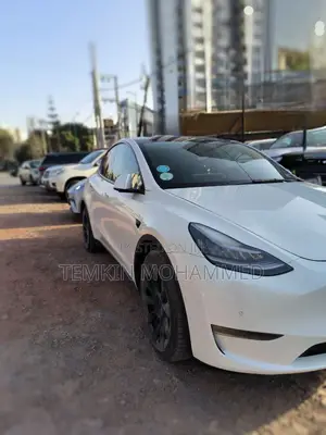 Tesla Model Y 2022 White