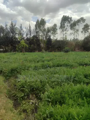 Space Land for Sale