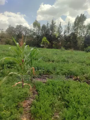 Space Land for Sale