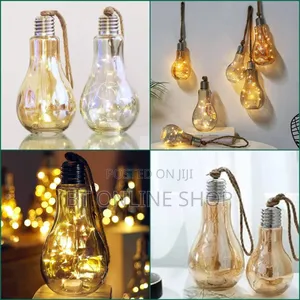 Hanging Bulb With Fairy Lights