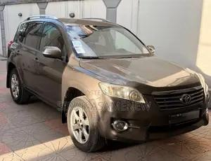 Toyota RAV4 2010 Brown
