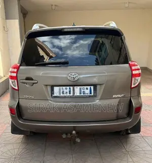 Toyota RAV4 2010 Brown