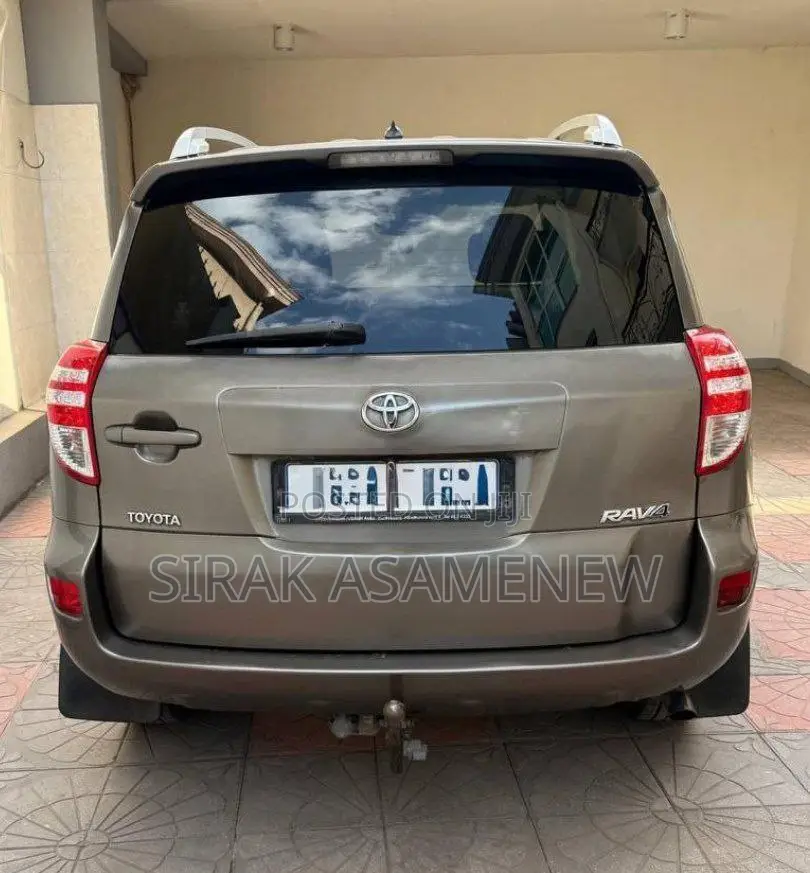 Toyota RAV4 2010 Brown