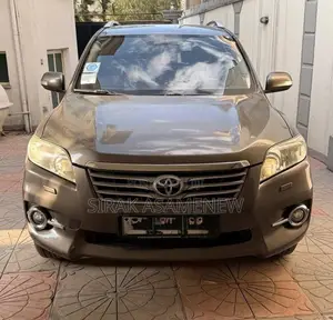 Toyota RAV4 2010 Brown