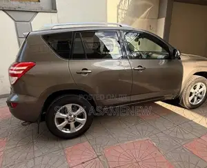 Toyota RAV4 2010 Brown