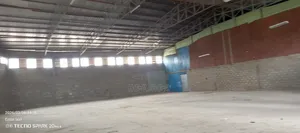 የሚከራይ መጋዝን