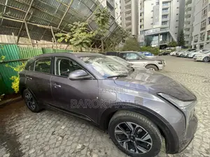 Hozon Neta U 2022 Gray