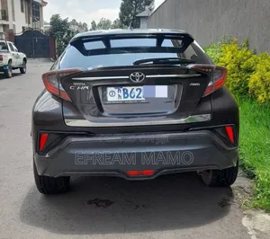 Toyota C-HR 2019 Gray