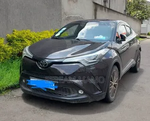 Toyota C-HR 2019 Gray