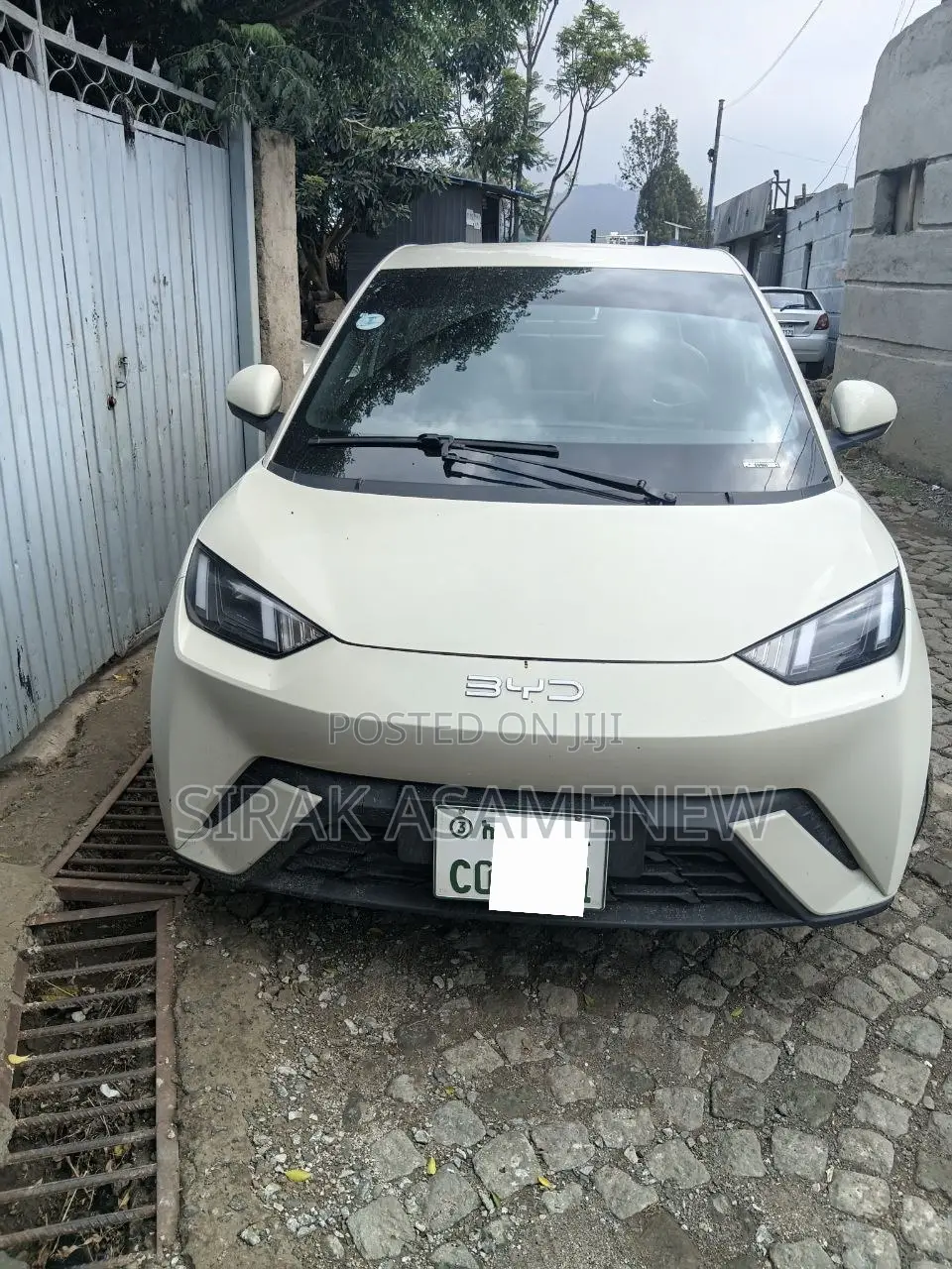 New BYD Seagull 2025 White