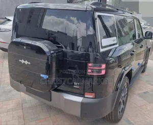 New BYD Leopard 7 2025 Black