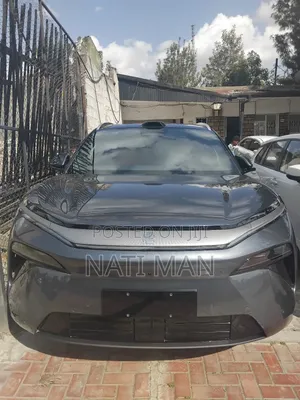 New BYD Tang EV 2025 Gray