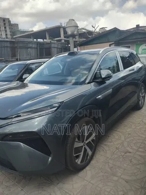 New BYD Tang DM-i 2025 Gray