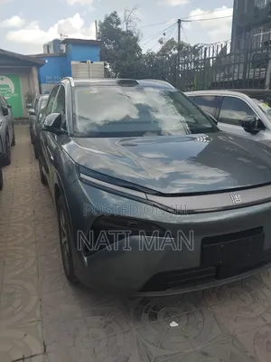 New BYD Tang DM-i 2025 Gray