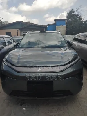 New BYD Tang DM-i 2025 Gray