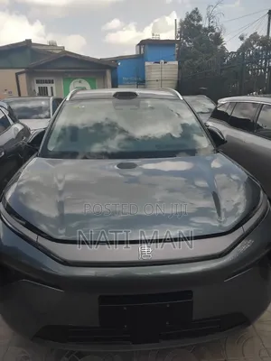 New BYD Tang DM-i 2025 Gray