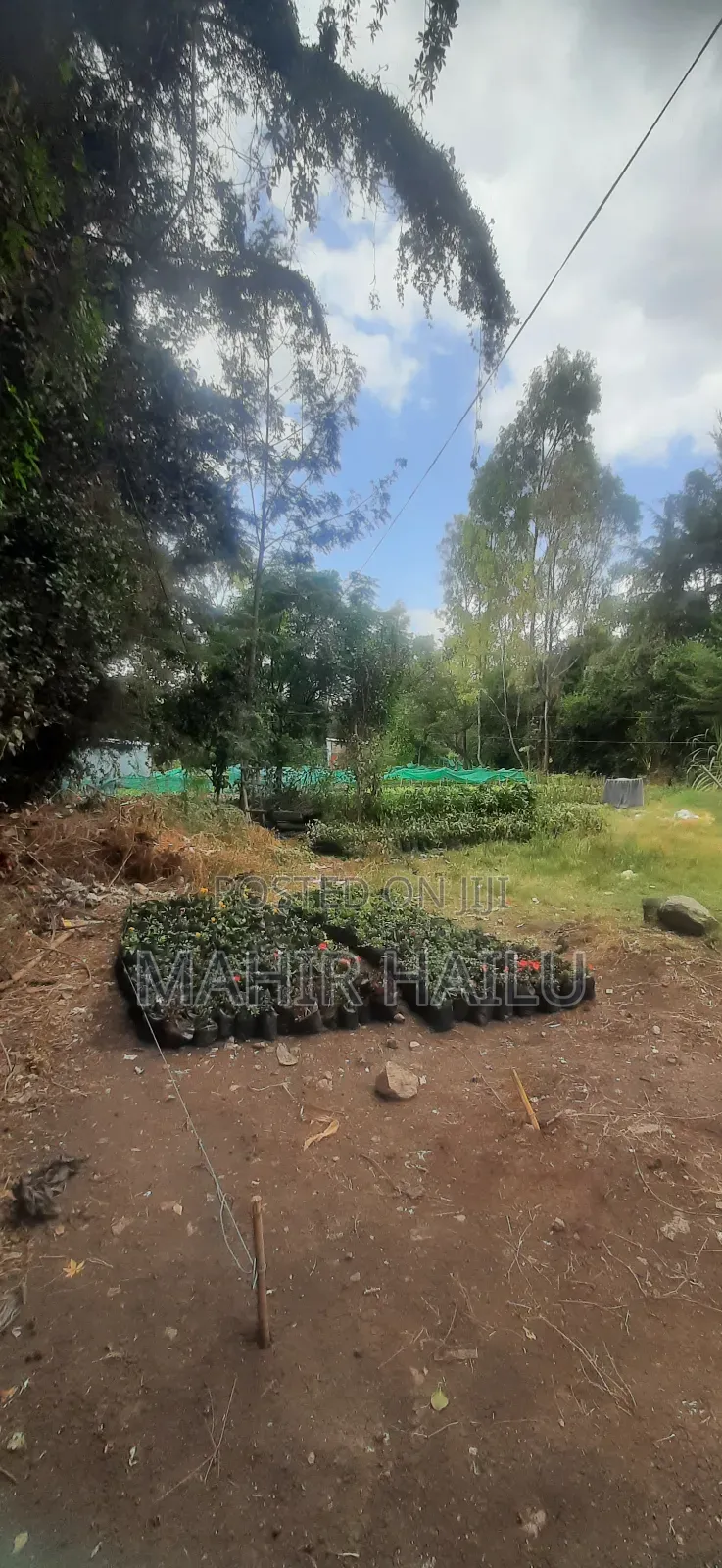 4bdrm House in ዋናው መንገድ, Akaky Kaliti for sale
