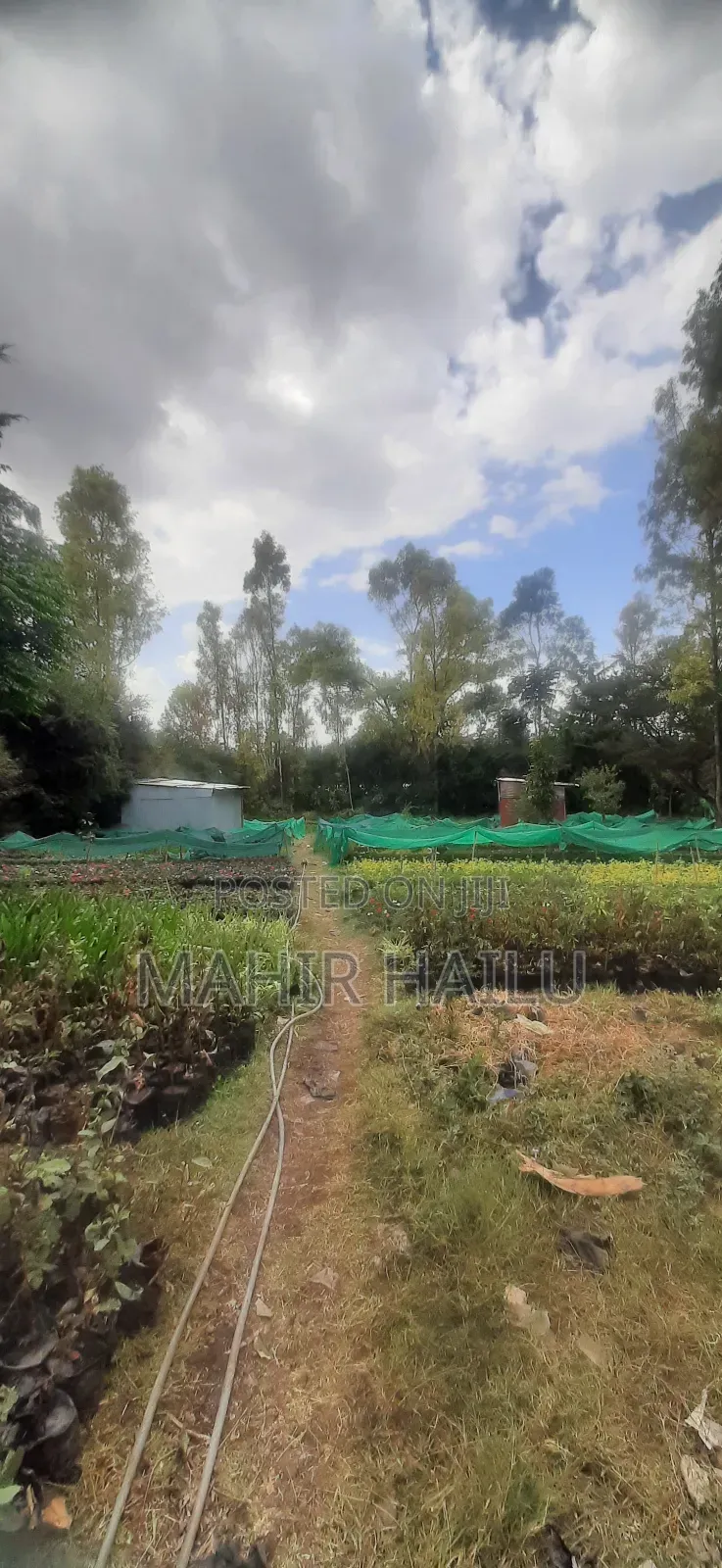 4bdrm House in ዋናው መንገድ, Akaky Kaliti for sale