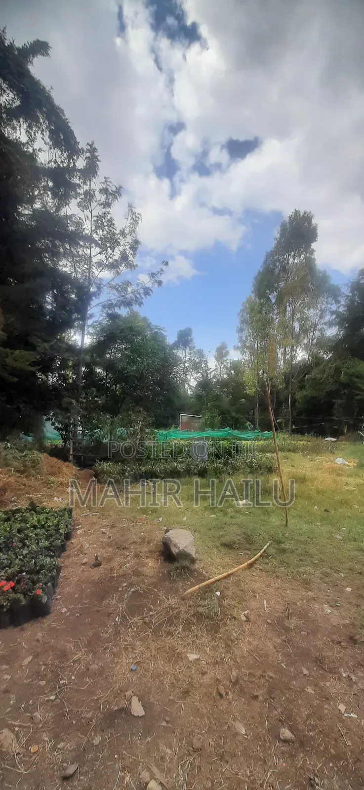 4bdrm House in ዋናው መንገድ, Akaky Kaliti for sale