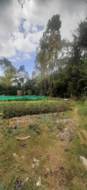4bdrm House in ዋናው መንገድ, Akaky Kaliti for sale