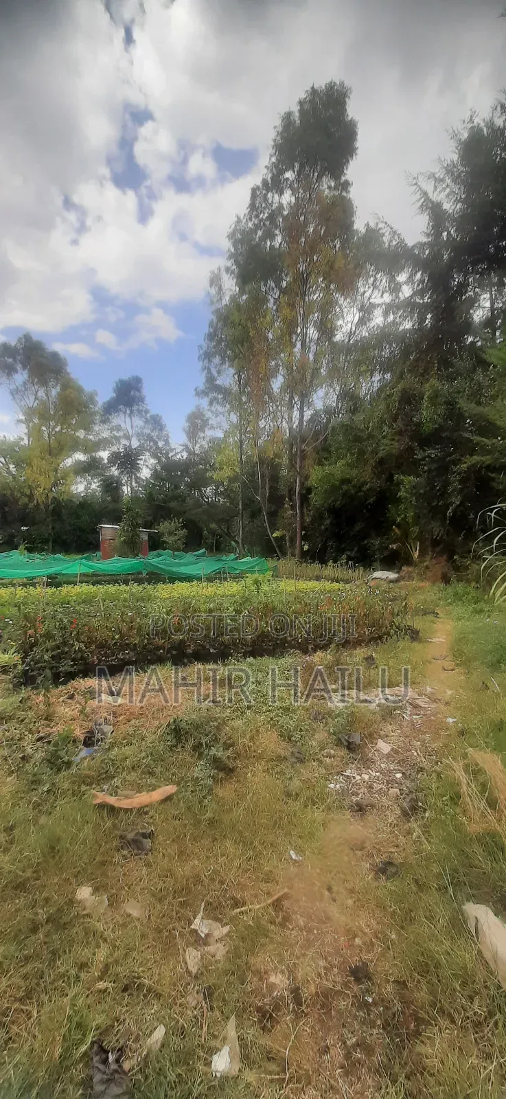 4bdrm House in ዋናው መንገድ, Akaky Kaliti for sale