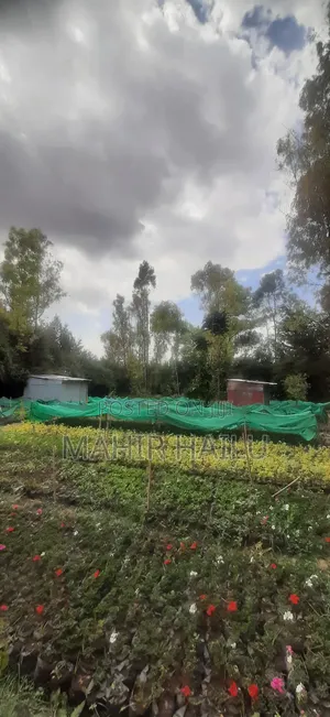 4bdrm House in ዋናው መንገድ, Akaky Kaliti for sale