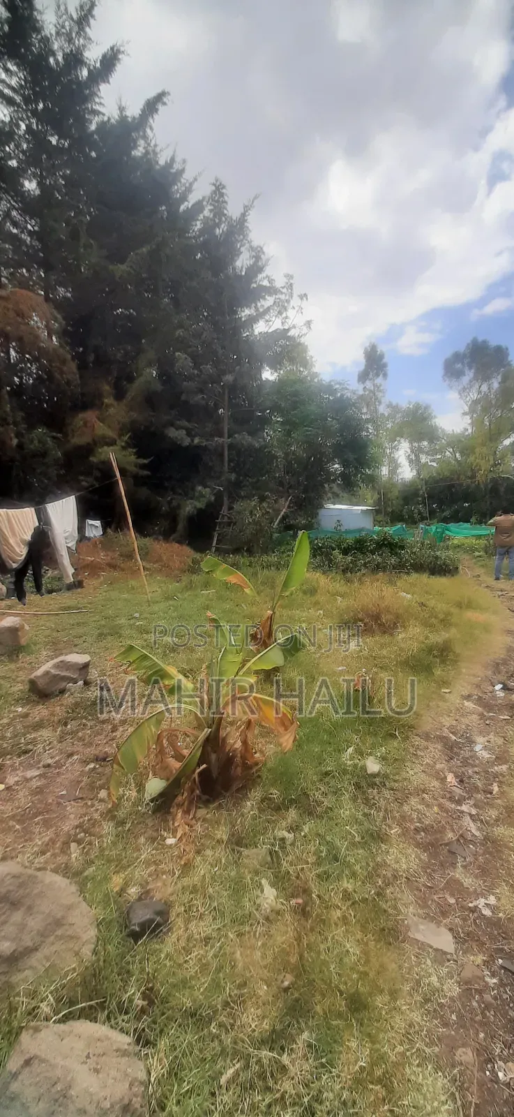 4bdrm House in ዋናው መንገድ, Akaky Kaliti for sale