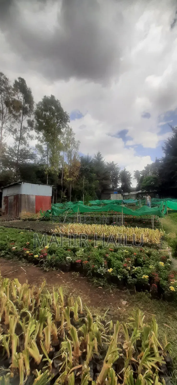 4bdrm House in ዋናው መንገድ, Akaky Kaliti for sale