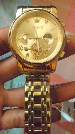 Olevs 2856 Luxury Men's Quartz Watch