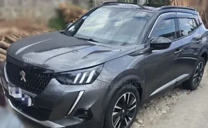 Peugeot 2008 2022 Gray