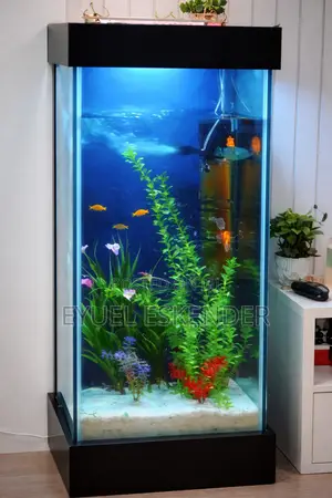 Classic and Luxury Aquarium