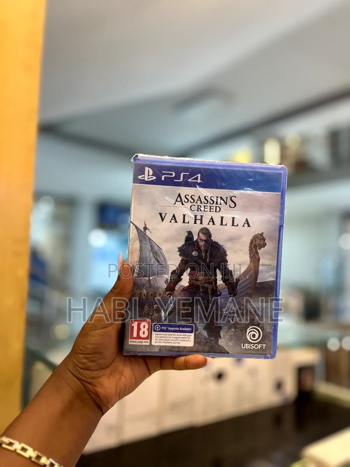 Assassin's Creed Valhalla