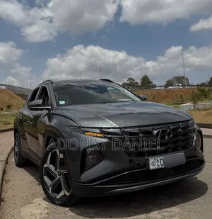 Hyundai Tucson Limited 2021 Gray