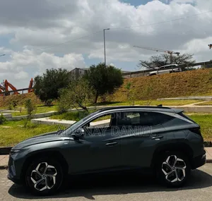 Hyundai Tucson Limited 2021 Gray