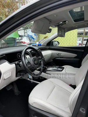 Hyundai Tucson Limited 2021 Gray
