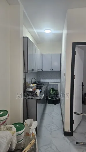 Furnished 1bdrm House in Lideta for rent