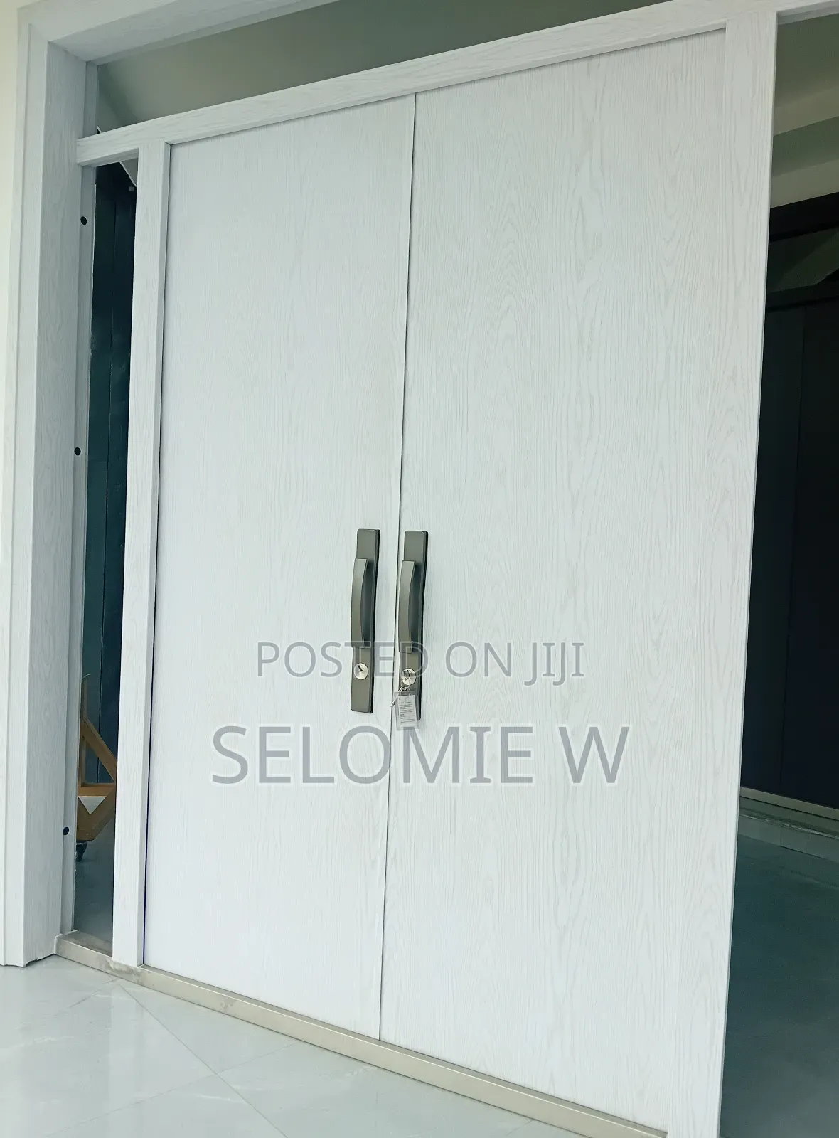 Luxurious Security Door