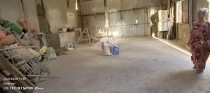 የሚከራይ መጋዝን