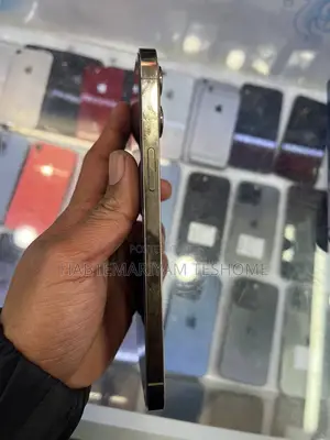 Apple iPhone 12 Pro Max 256 GB Gold