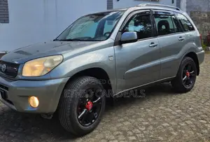 Toyota RAV4 2005 Silver