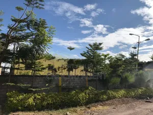 Warehouse Sale Dukem መጋዘን ሽያጭ ዱከም